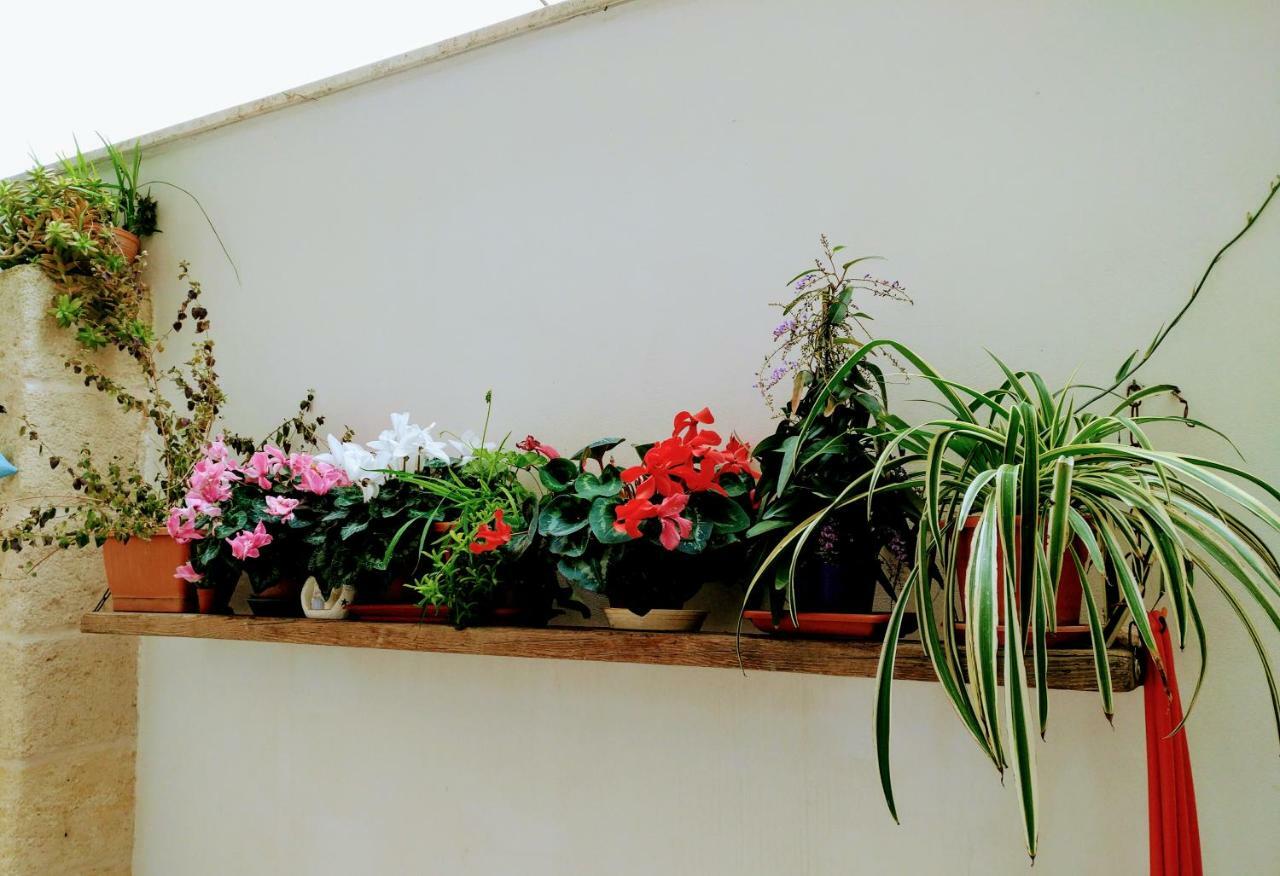 Casa Della Nonna Polignano A Mare Bed & Breakfast Dış mekan fotoğraf